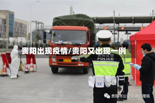 贵阳出现疫情/贵阳又出现一例