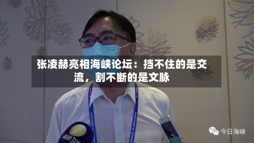 张凌赫亮相海峡论坛：挡不住的是交流	，割不断的是文脉-第2张图片
