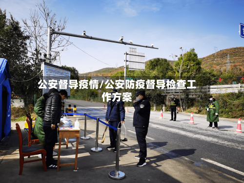 公安督导疫情/公安防疫督导检查工作方案-第3张图片