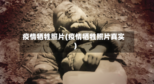 疫情牺牲照片(疫情牺牲照片真实)