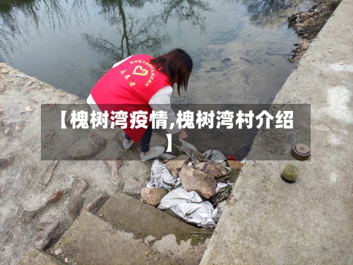 【槐树湾疫情,槐树湾村介绍】