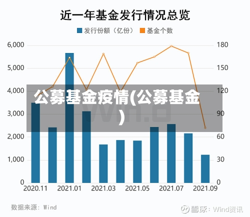 公募基金疫情(公募基金)