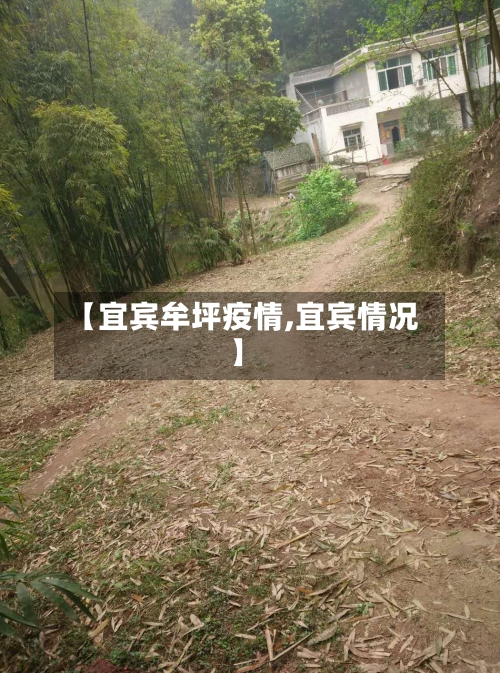 【宜宾牟坪疫情,宜宾情况】-第2张图片