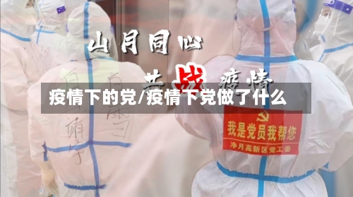 疫情下的党/疫情下党做了什么-第2张图片