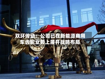 双环传动:公司已在新能源商用车齿轮业务上展开战略布局-第2张图片