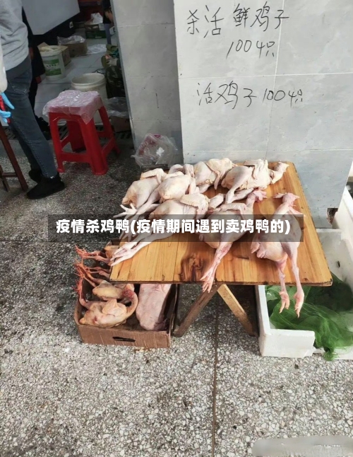 疫情杀鸡鸭(疫情期间遇到卖鸡鸭的)