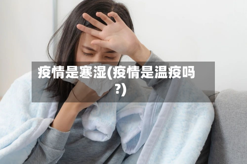 疫情是寒湿(疫情是温疫吗?)-第3张图片