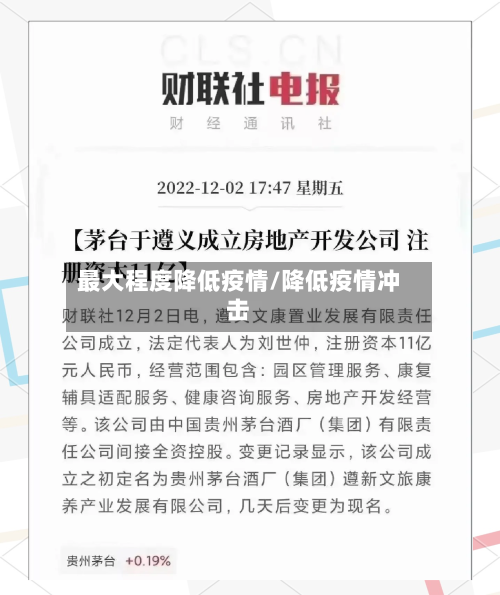 最大程度降低疫情/降低疫情冲击