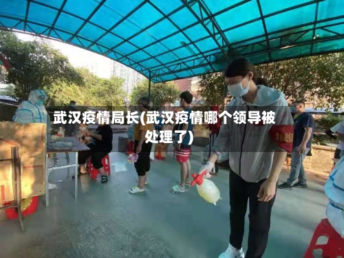 武汉疫情局长(武汉疫情哪个领导被处理了)-第2张图片