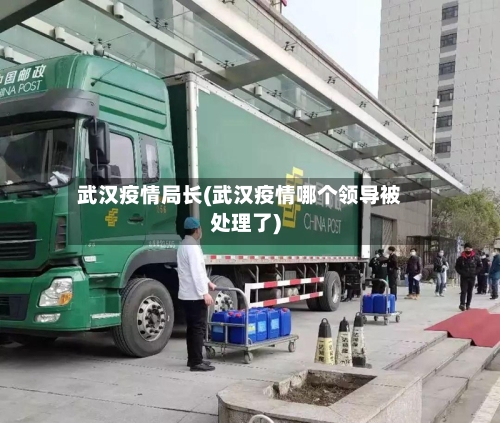 武汉疫情局长(武汉疫情哪个领导被处理了)-第3张图片