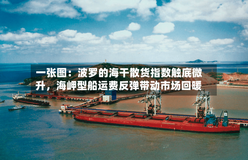 一张图：波罗的海干散货指数触底微升，海岬型船运费反弹带动市场回暖-第3张图片