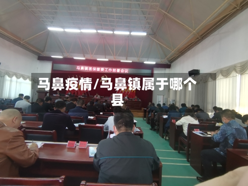 马鼻疫情/马鼻镇属于哪个县