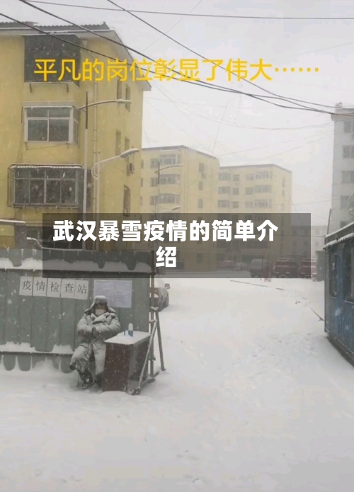 武汉暴雪疫情的简单介绍