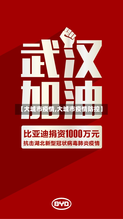 【大城市疫情,大城市疫情防控】-第2张图片