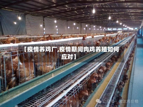 【疫情养鸡厂,疫情期间肉鸡养殖如何应对】