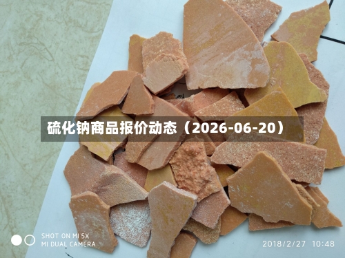 硫化钠商品报价动态（2026-06-20）