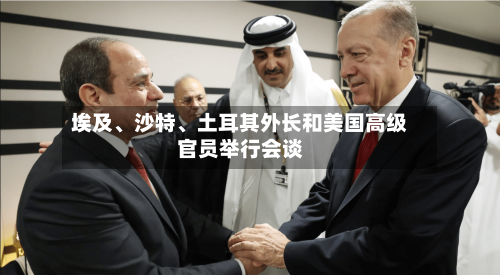 埃及	、沙特、土耳其外长和美国高级官员举行会谈-第2张图片