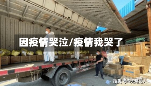 因疫情哭泣/疫情我哭了