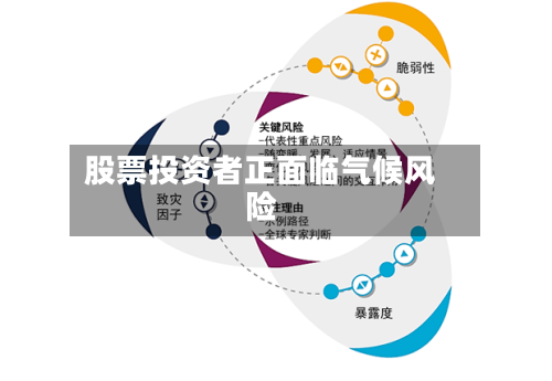 股票投资者正面临气候风险
