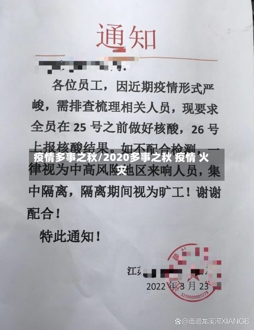 疫情多事之秋/2020多事之秋 疫情 火灾