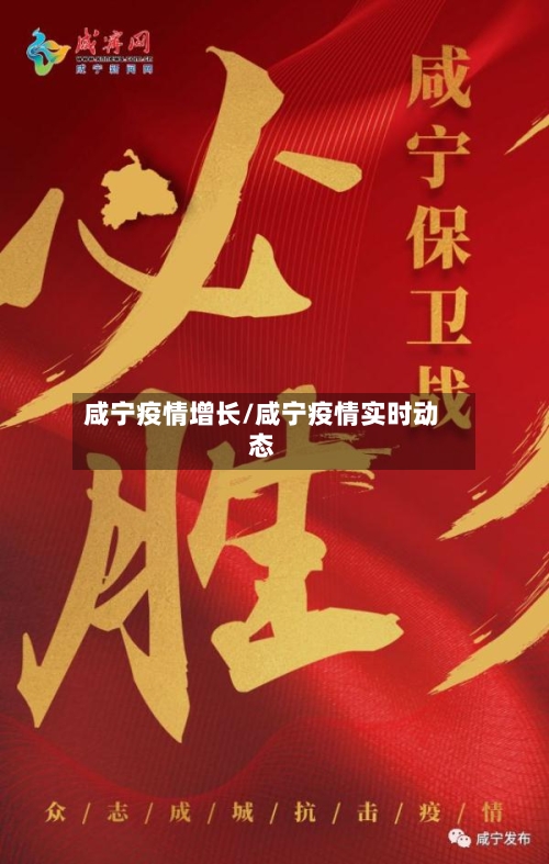 咸宁疫情增长/咸宁疫情实时动态