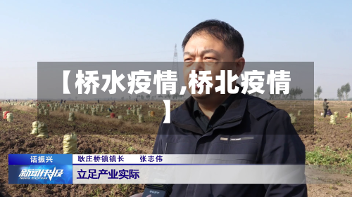 【桥水疫情,桥北疫情】