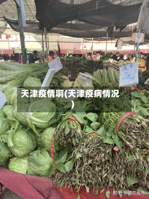 天津疫情啊(天津疫病情况)-第2张图片