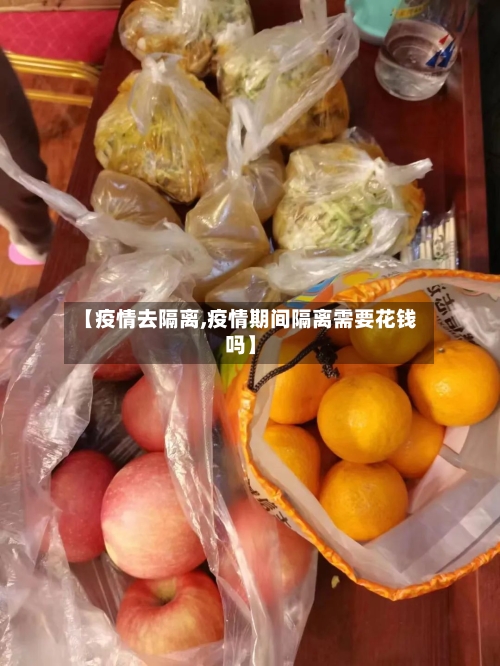 【疫情去隔离,疫情期间隔离需要花钱吗】