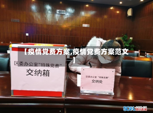 【疫情党费方案,疫情党费方案范文】