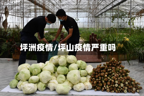 坪洲疫情/坪山疫情严重吗