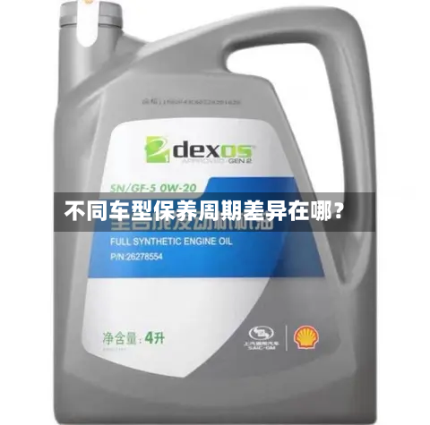 不同车型保养周期差异在哪?-第3张图片