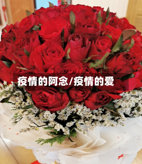 疫情的阿念/疫情的爱-第2张图片