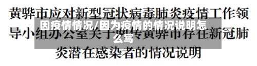 因疫情情况/因为疫情的情况说明怎么写-第2张图片