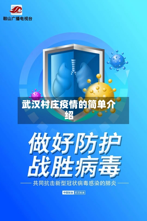 武汉村庄疫情的简单介绍