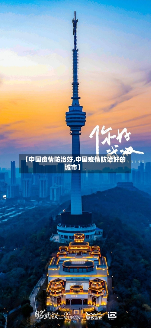 【中国疫情防治好,中国疫情防治好的城市】-第2张图片
