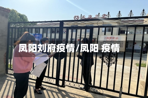 凤阳刘府疫情/凤阳 疫情