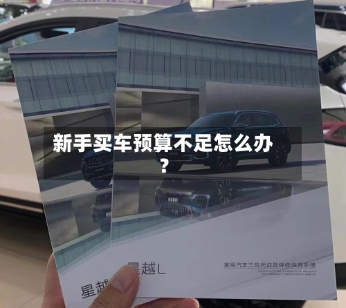 新手买车预算不足怎么办？