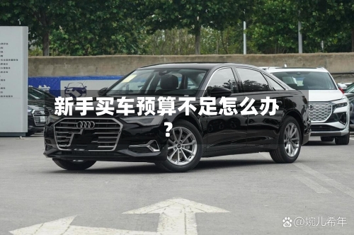 新手买车预算不足怎么办？-第2张图片