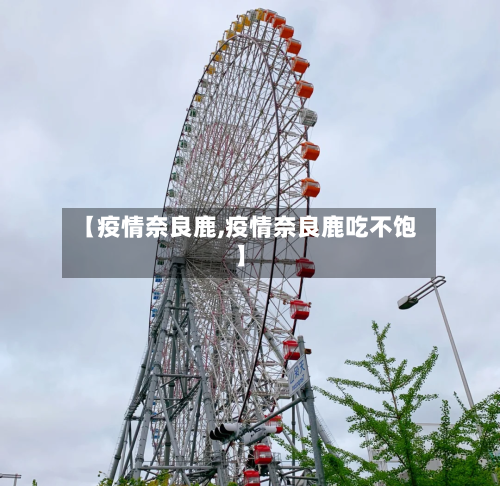 【疫情奈良鹿,疫情奈良鹿吃不饱】