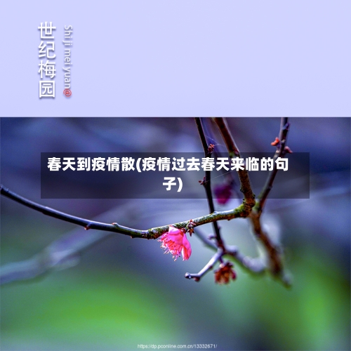 春天到疫情散(疫情过去春天来临的句子)-第2张图片