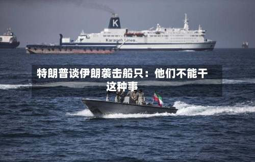 特朗普谈伊朗袭击船只：他们不能干这种事-第2张图片