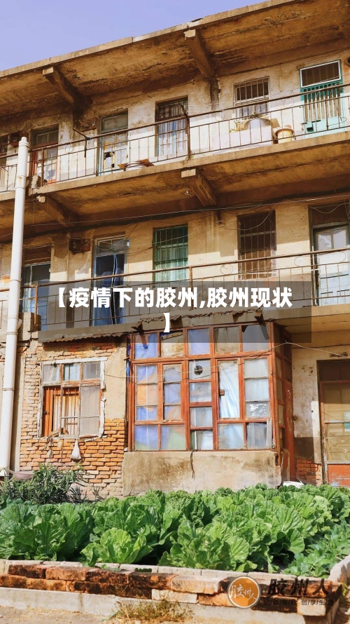 【疫情下的胶州,胶州现状】