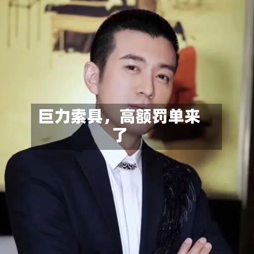 巨力索具，高额罚单来了-第3张图片
