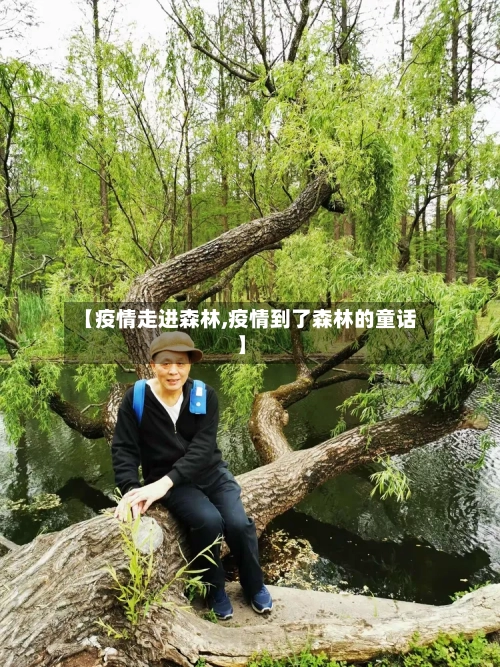 【疫情走进森林,疫情到了森林的童话】