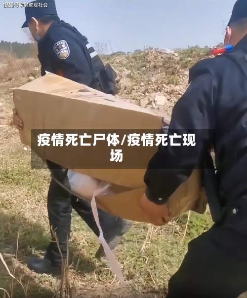 疫情死亡尸体/疫情死亡现场