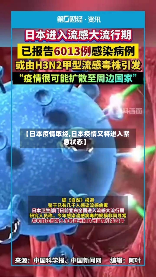 【日本疫情取经,日本疫情又将进入紧急状态】-第3张图片