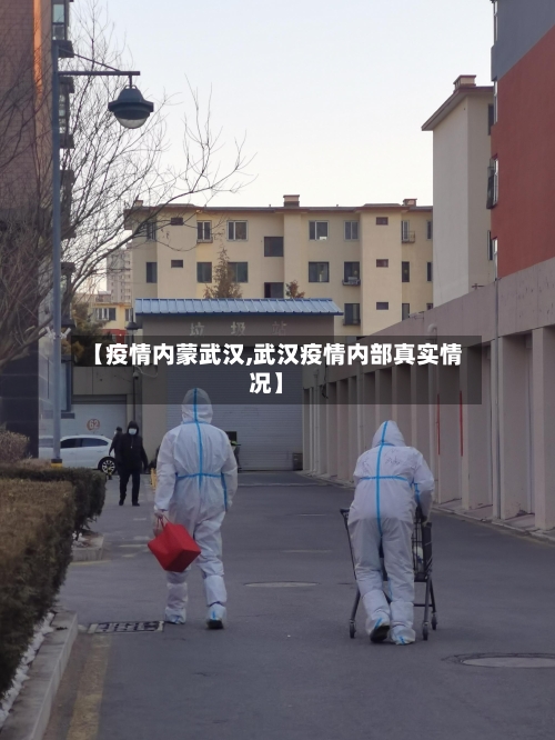 【疫情内蒙武汉,武汉疫情内部真实情况】-第3张图片