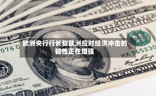 欧洲央行行长称欧洲应对经济冲击的韧性正在增强-第2张图片