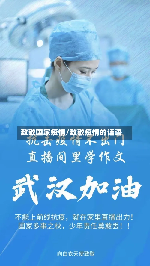致敬国家疫情/致敬疫情的话语