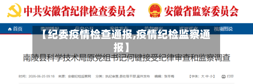 【纪委疫情检查通报,疫情纪检监察通报】-第2张图片